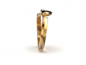 Baby foot ring 3D Принт Модель