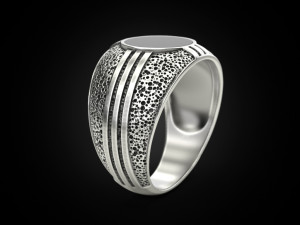 Blackened and Onyx Ring 3D 프린트 모델