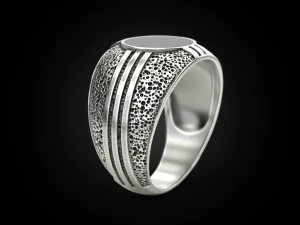 Blackened and Onyx Ring 3D Print Model