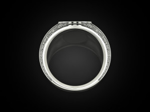Blackened and Onyx Ring 3D 프린트 모델