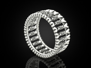 Bone ring Modelo de impresión 3D
