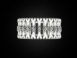 Bone ring Modelo de impresión 3D