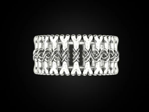 Bone ring 3D Print Model