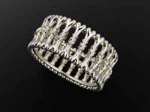 Bone ring 3D Print Model