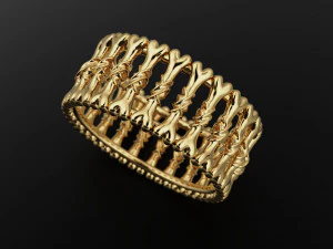 Bone ring 3D Print Model