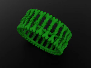 Bone ring 3D Print Model