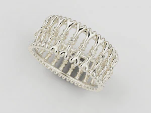 Bone ring 3D Print Model