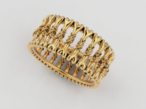 Bone ring Modelo de impresión 3D