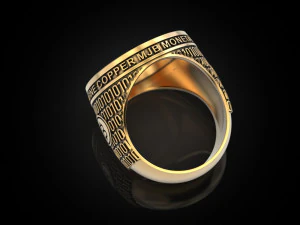 Coolest Bitcoin ring 3D Print Model