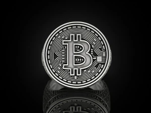 Coolest Bitcoin ring 3D Print Model