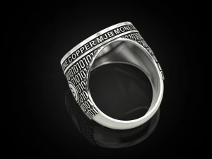 Coolest Bitcoin ring 3D Print Model