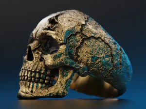 Skull texture ring 3D Print Model