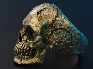Skull texture ring 3D Baskı Modeli