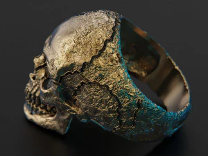 Skull texture ring 3D Print Model