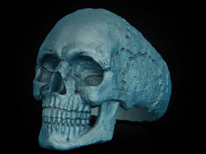 Skull texture ring 3D Baskı Modeli