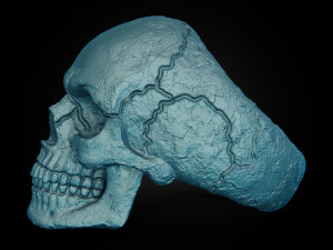Skull texture ring 3D Baskı Modeli