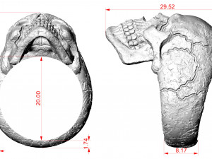 Skull texture ring 3D Baskı Modeli