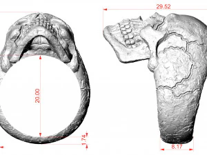 Skull texture ring 3D Print Model