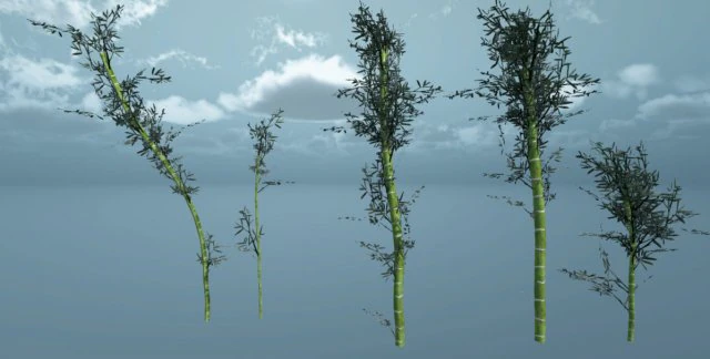 bamboo pack unity 3D Model .c4d .max .obj .3ds .fbx .stl .blend