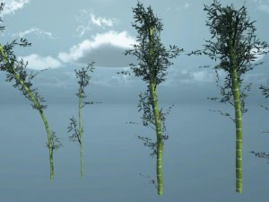 jedność opakowania bambusowego Model 3D