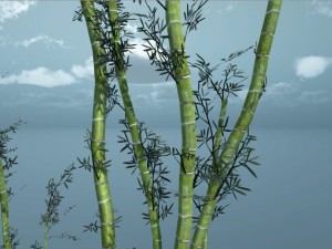 bamboo pack unity Modelo 3D