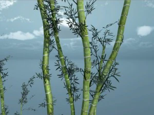 bamboo pack unity 3D Model