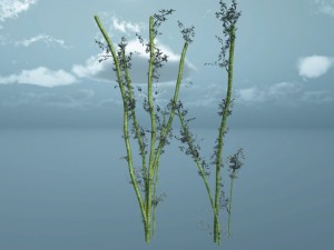 bamboo pack unity Modelo 3D