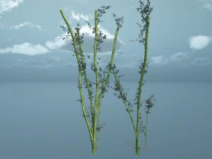 bamboo pack unity 3D Model