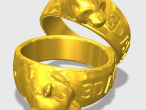 wolfring 3D Print Model