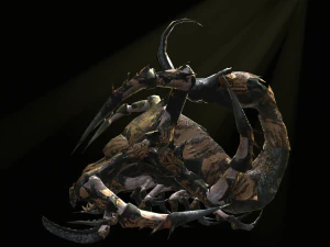 a nightmare beetle 3D Model