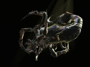 a nightmare beetle 3D Model