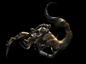 a nightmare beetle 3D Model