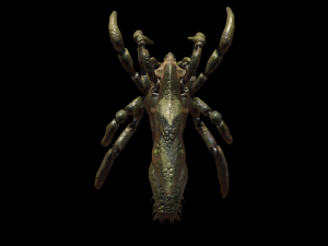 nightmare beetle pack 3D Model