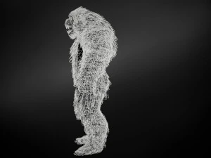 yeti 3D Model