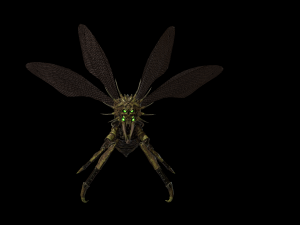 flying bug 2 3D Model