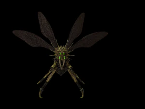 उड़ने वाला कीड़ा 2 3D मॉडल