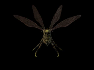 उड़ने वाला कीड़ा 2 3D मॉडल