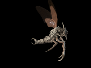 flying bug 2 3D Model