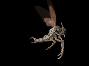 उड़ने वाला कीड़ा 2 3D मॉडल