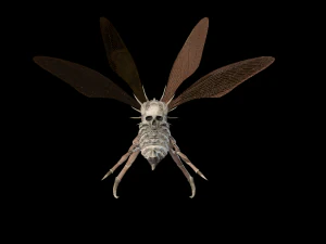 उड़ने वाला कीड़ा 2 3D मॉडल