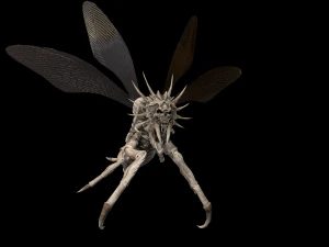 उड़ने वाला कीड़ा 2 3D मॉडल