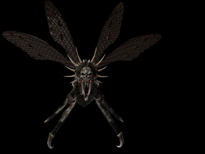 उड़ने वाला कीड़ा 2 3D मॉडल