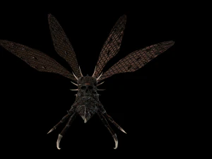 उड़ने वाला कीड़ा 2 3D मॉडल