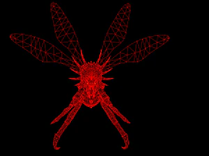 उड़ने वाला कीड़ा 2 3D मॉडल