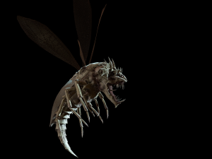 flying bug4 3D Модель