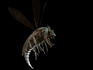 flying bug4 3D Model
