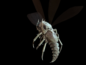 flying bug4 3D Модель
