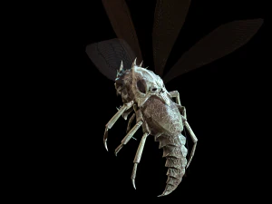 flying bug4 3D Model