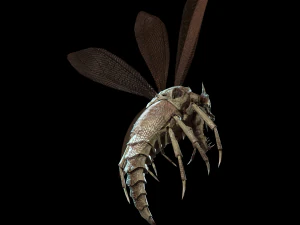 flying bug4 3D Model