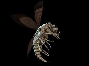 flying bug4 3D Модель